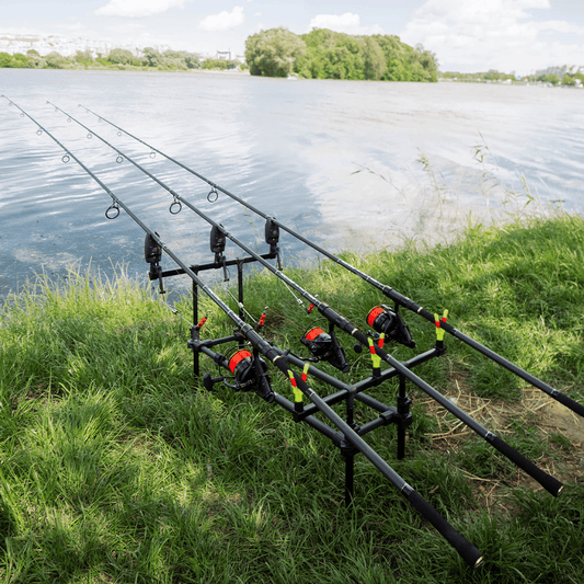 Pirs CARP MASTER SET | Все для карпфішингу в одному наборі