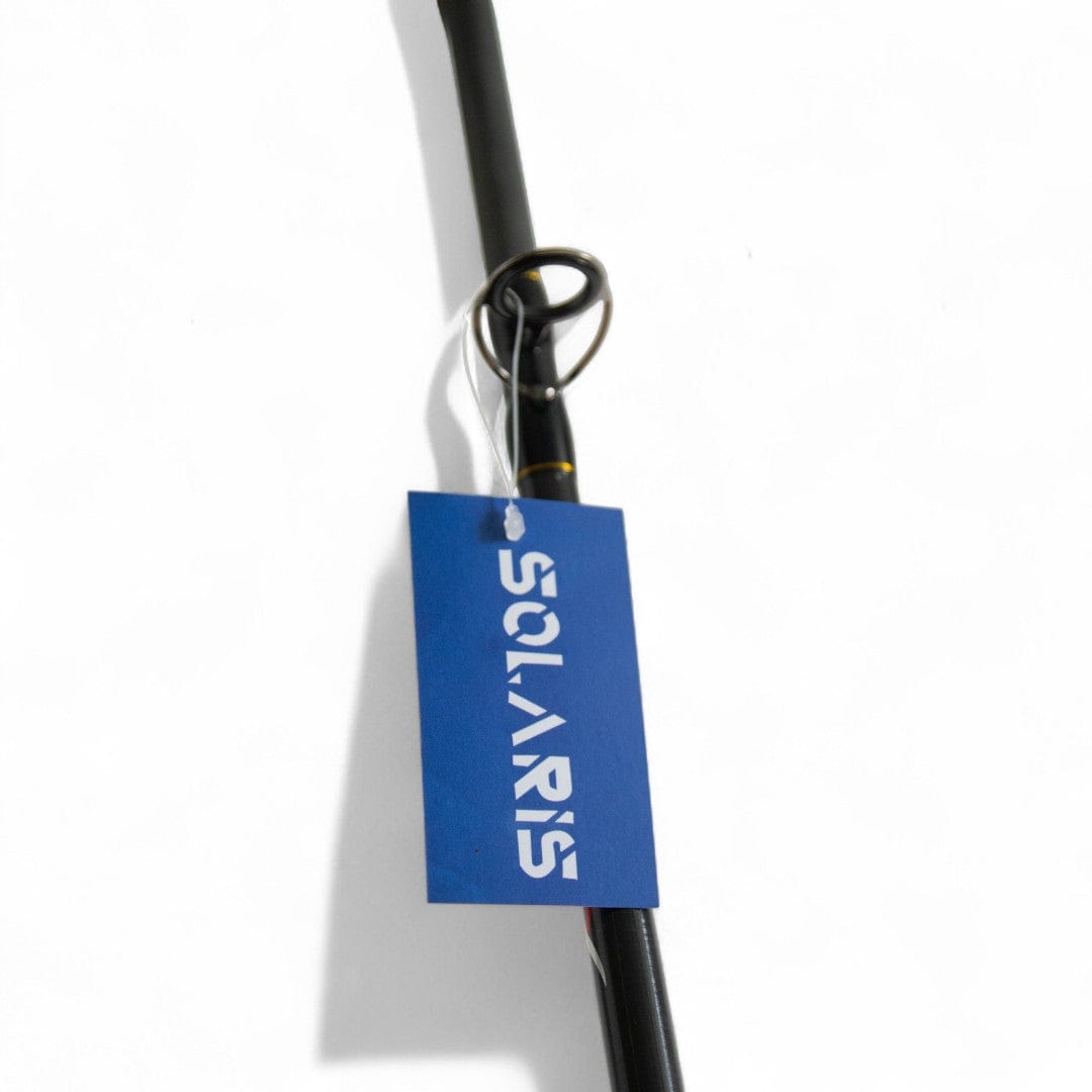 Pirs Фідерне вудилище Solaris Arion 60–120 г / Arion Plus 60–160 г | 3.0m, 3.3m та 3.6m