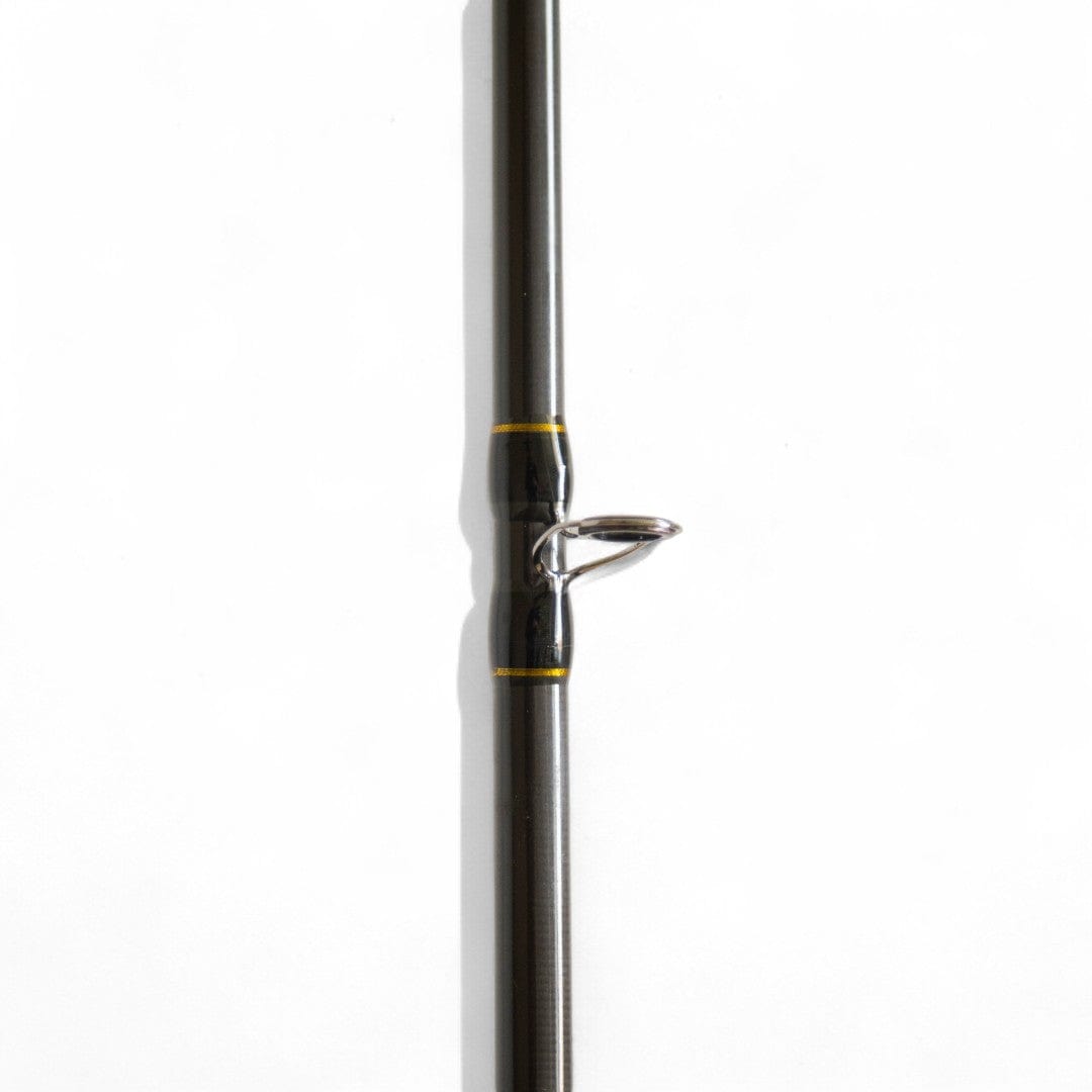 Pirs Фідерне вудилище Solaris Arion 60–120 г / Arion Plus 60–160 г | 3.0m, 3.3m та 3.6m