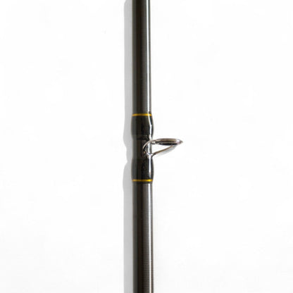 Pirs Фідерне вудилище Solaris Arion 60–120 г / Arion Plus 60–160 г | 3.0m, 3.3m та 3.6m