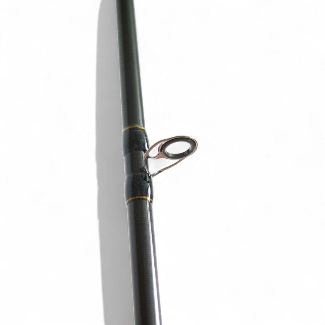 Pirs Фідерне вудилище Solaris Arion 60–120 г / Arion Plus 60–160 г | 3.0m, 3.3m та 3.6m