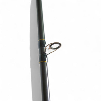 Pirs Фідерне вудилище Solaris Arion 60–120 г / Arion Plus 60–160 г | 3.0m, 3.3m та 3.6m